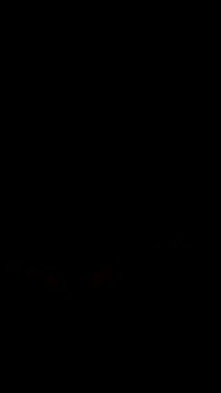 VID_20240903_233844.3gp