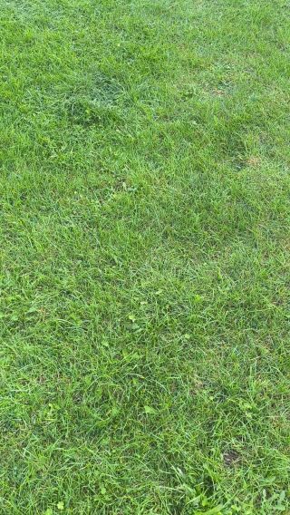 VID_20240903_181919.mp4