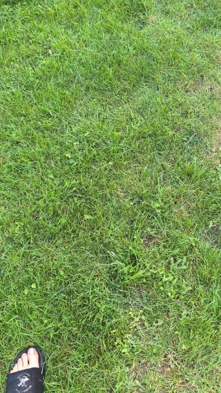 VID_20240903_181919.mp4