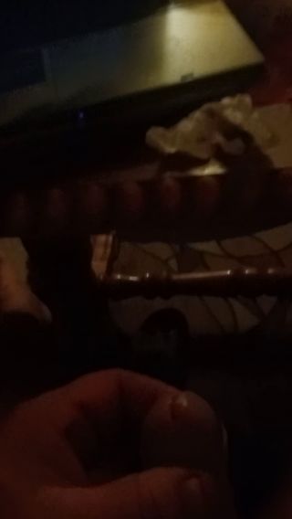 VID20240918212852.mp4