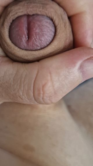 BartekHorny