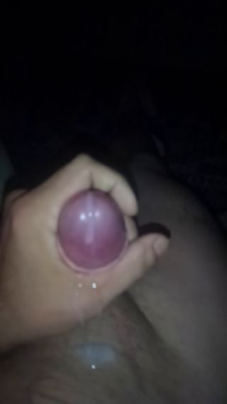 VID_20240929_041653_942.mp4