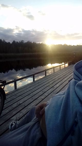 20240929_174712.mp4