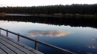 20240929_173547.mp4