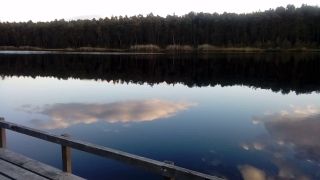 20240929_173547.mp4