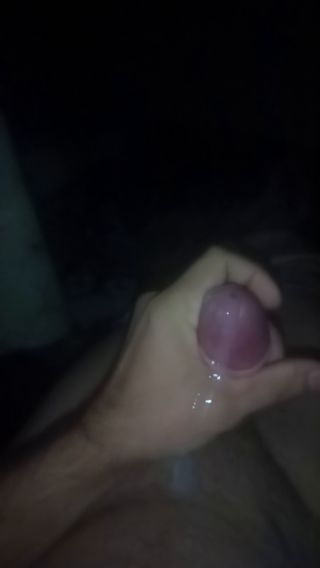 VID_20241009_004459_006.mp4