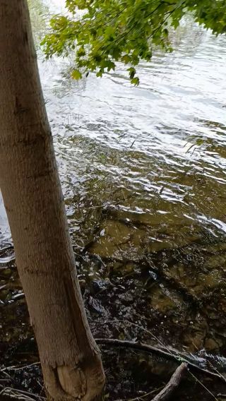 1000061226.mp4