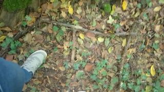 VID_20241012_132554.mp4