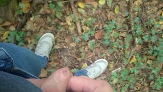 VID_20241012_132554.mp4