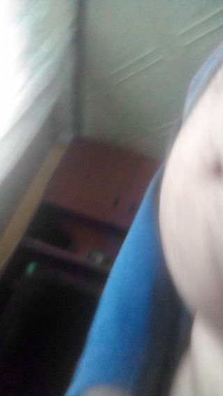 psotnymirek