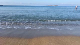 IMG_3983.mov