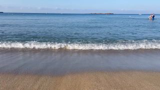 IMG_3983.mov