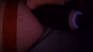 20241019_044612.mp4