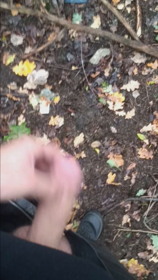 20241014_085305.mp4