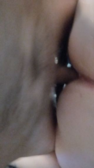 flimamigo