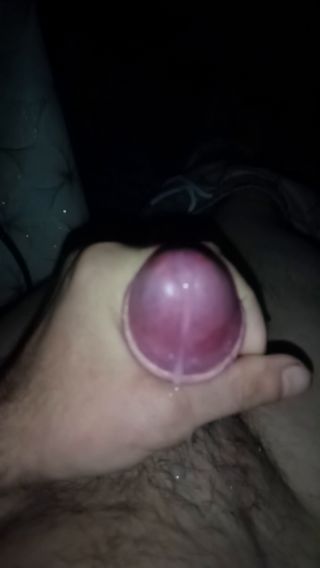 VID_20241026_010347_399.mp4
