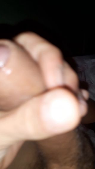 20241029_011354.mp4