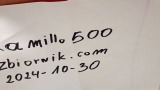 kamillo500