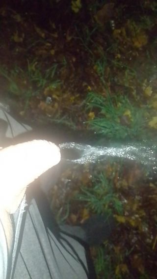 VID_20241030_194318.mp4
