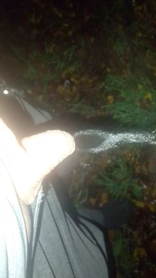 VID_20241030_194318.mp4