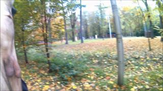 - spacer 20241028_1305 comp.mp4