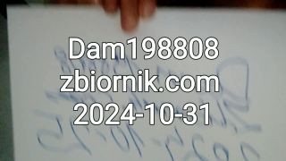 Dam198808