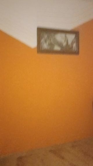 Maciek1995240895