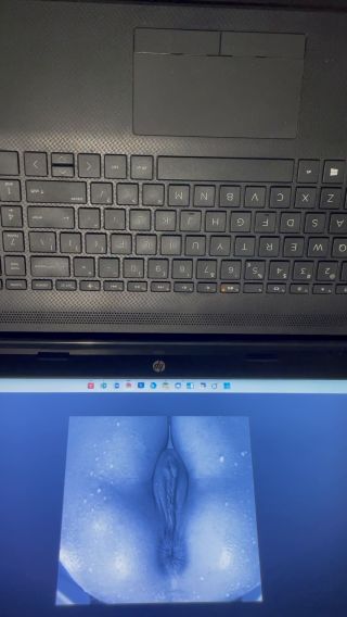 johanstraus69
