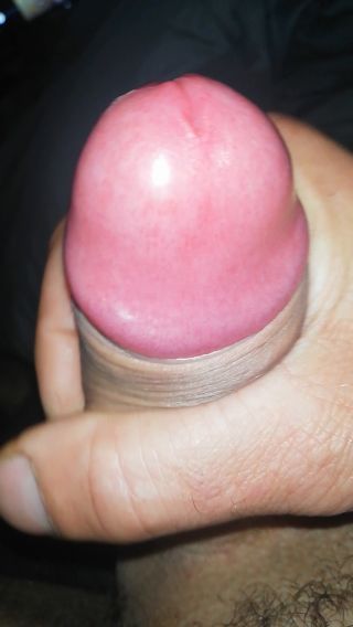 Kris7846