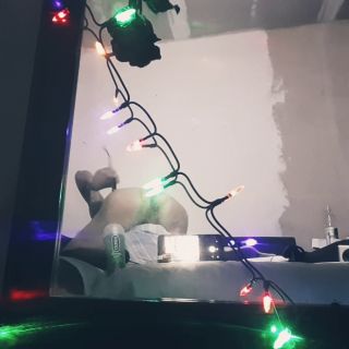 20241112_214704.mp4