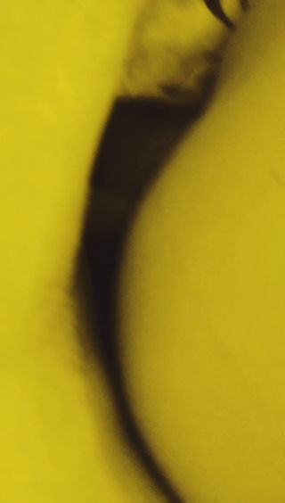 SexSpust9014.mp4