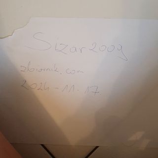 Sizar2009