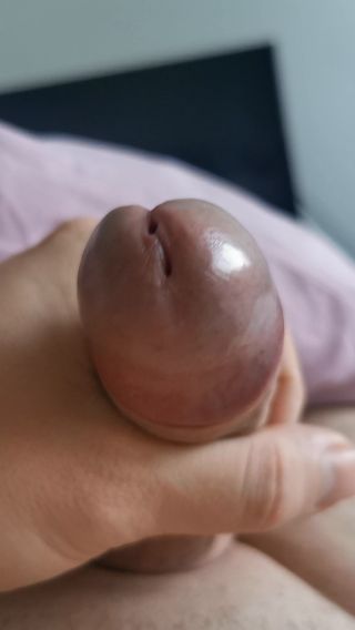 VID_20241125_082607.mp4