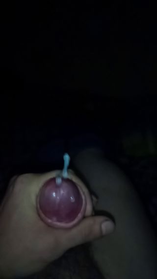 VID_20241201_014536_314.mp4