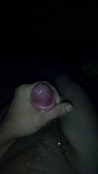 VID_20241201_014536_314.mp4