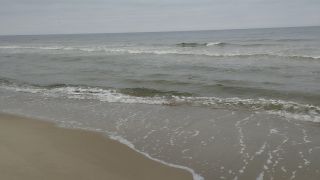 VID_20241130_095333.mp4