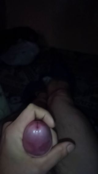 VID_20241208_014916_520.mp4