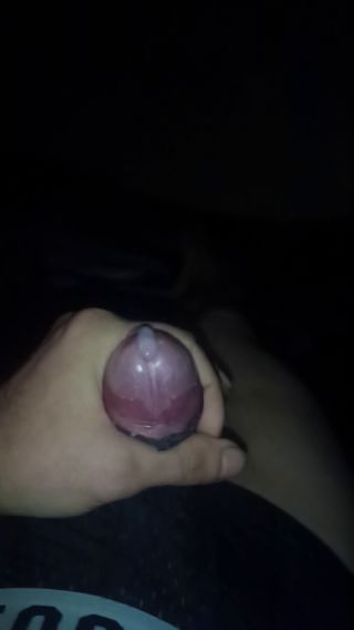 VID_20241211_014040_825.mp4