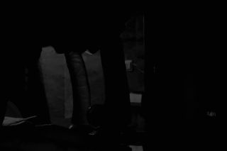 IMG_7441.mov