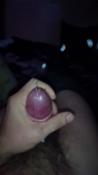 VID_20241230_020650_358.mp4