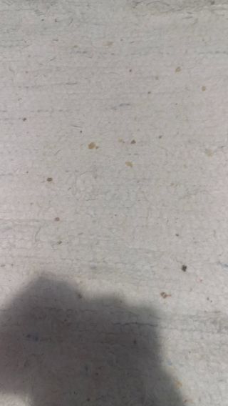 VID_20250101_205226.mp4