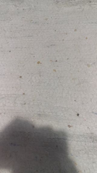 VID_20250101_205226.mp4