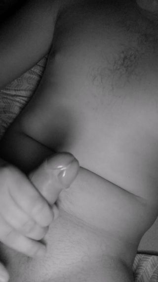 Peryt31