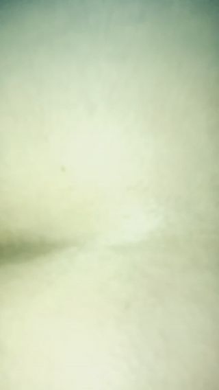 IMG_4487.mov