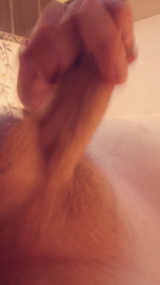 Peryt31