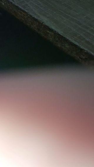 1000000398.mp4