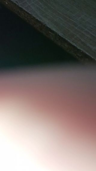 1000000398.mp4