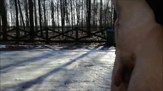 WIESZOWA - parking leśny 25_01_27.mp4