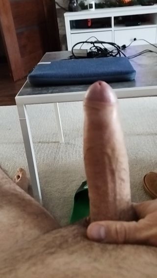 Domi102