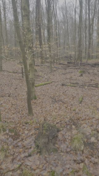 20250130_104622.mp4